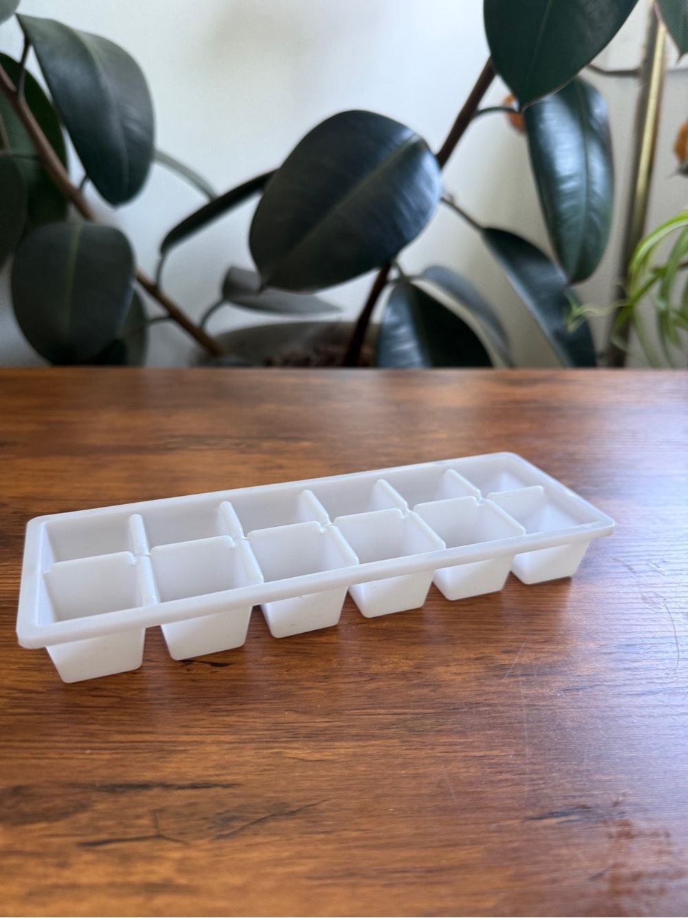 Small White Plastic Ice Cube Tray - 12 Cube